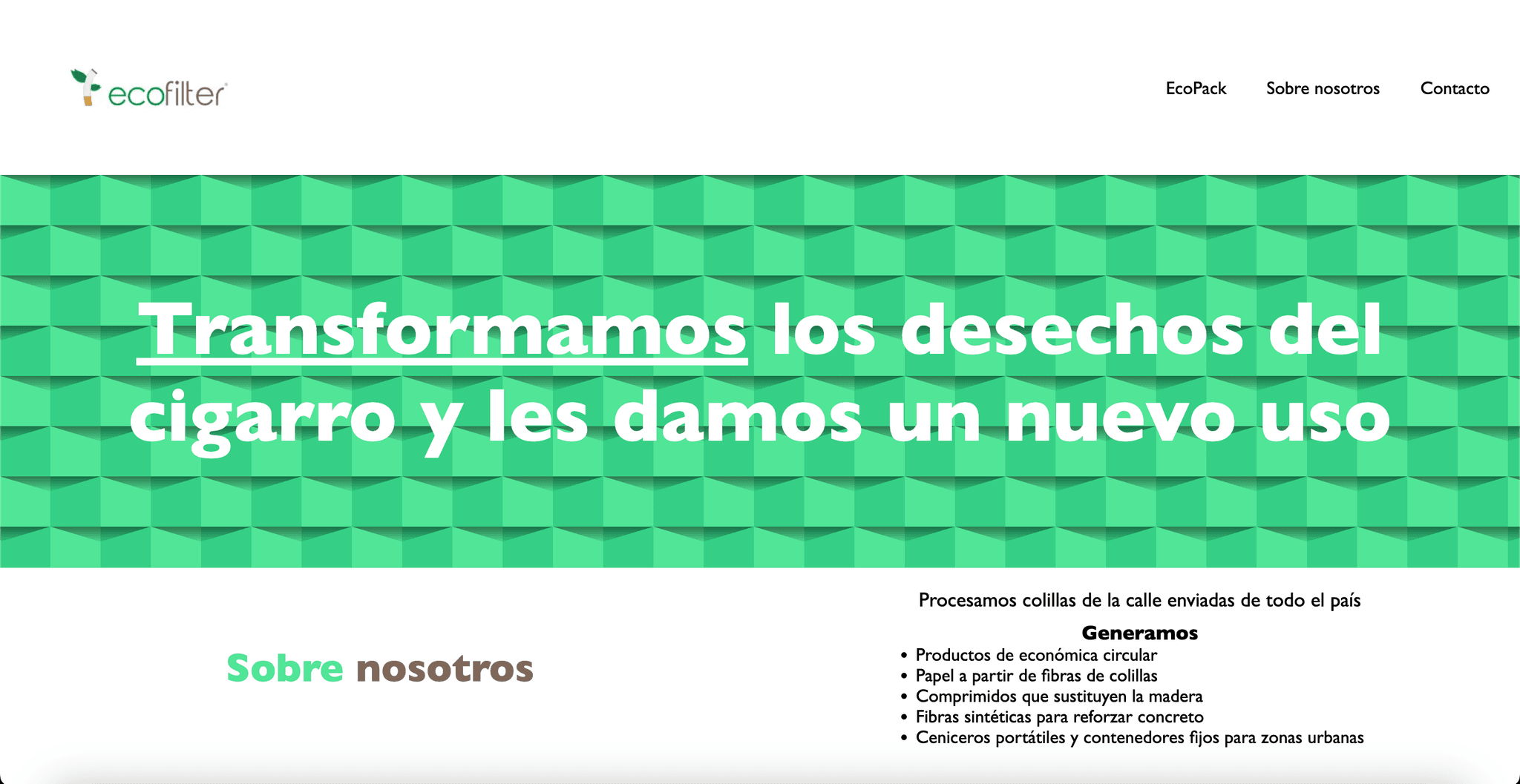Sitio Web EcoFilter